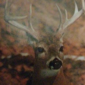 Meet your Posher, Greg